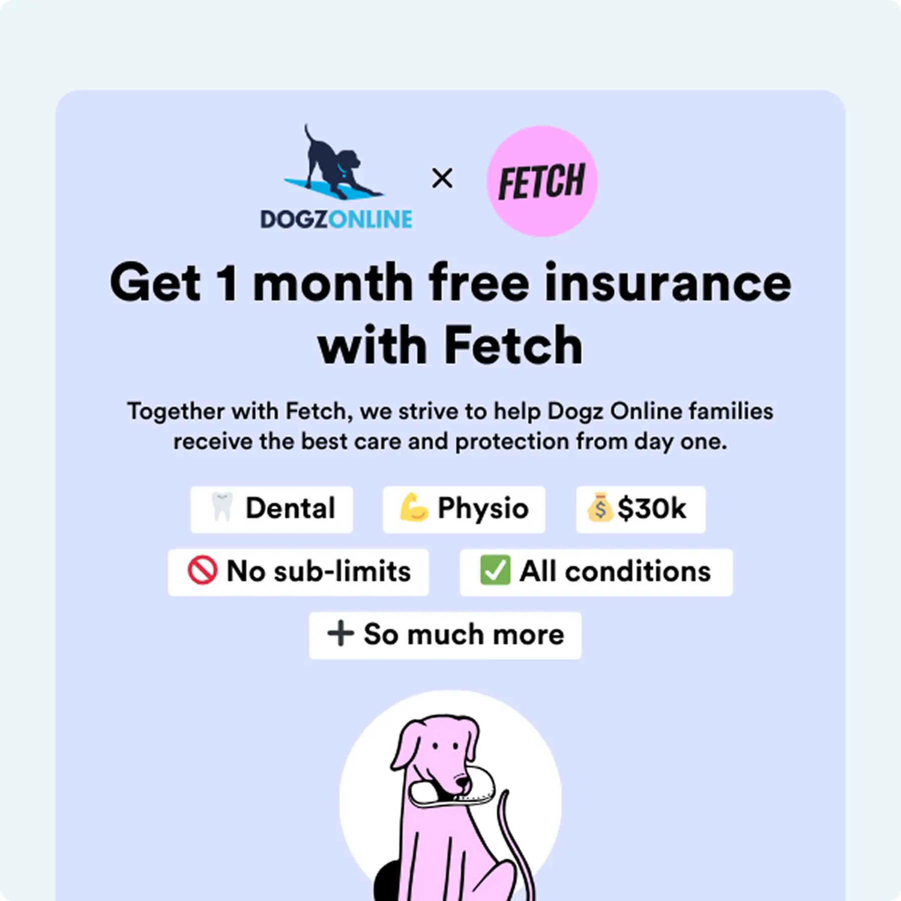 Fetch Insurance
