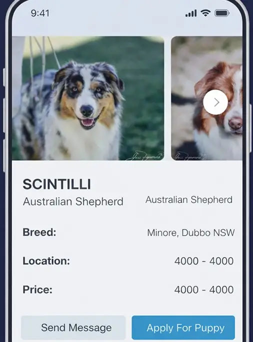 Connect and Chat with Your Breeder