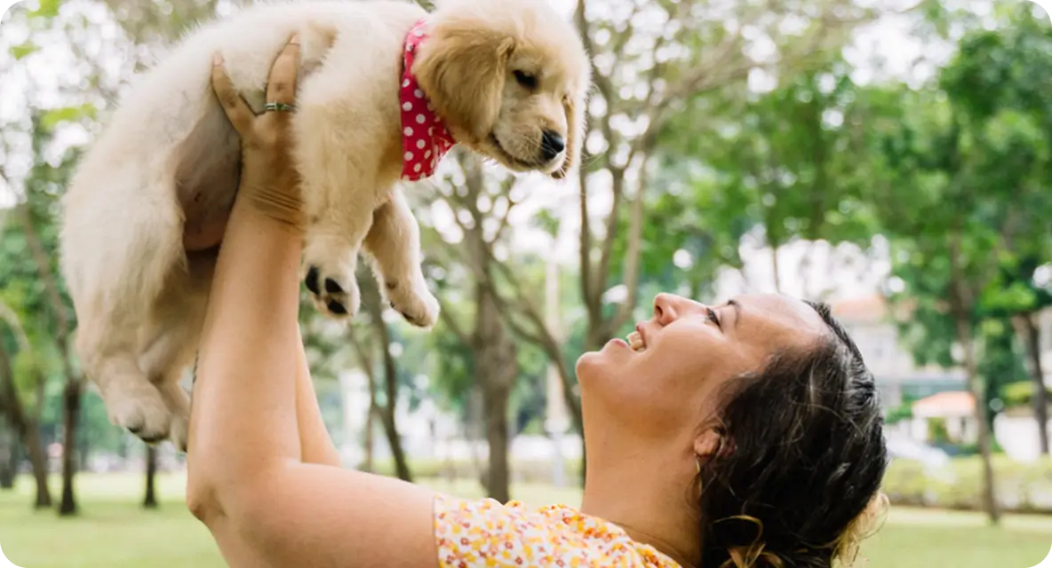 Need Help Finding The Right Breed?