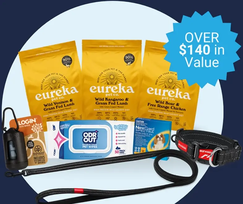 Prepare for Pick-Up Day