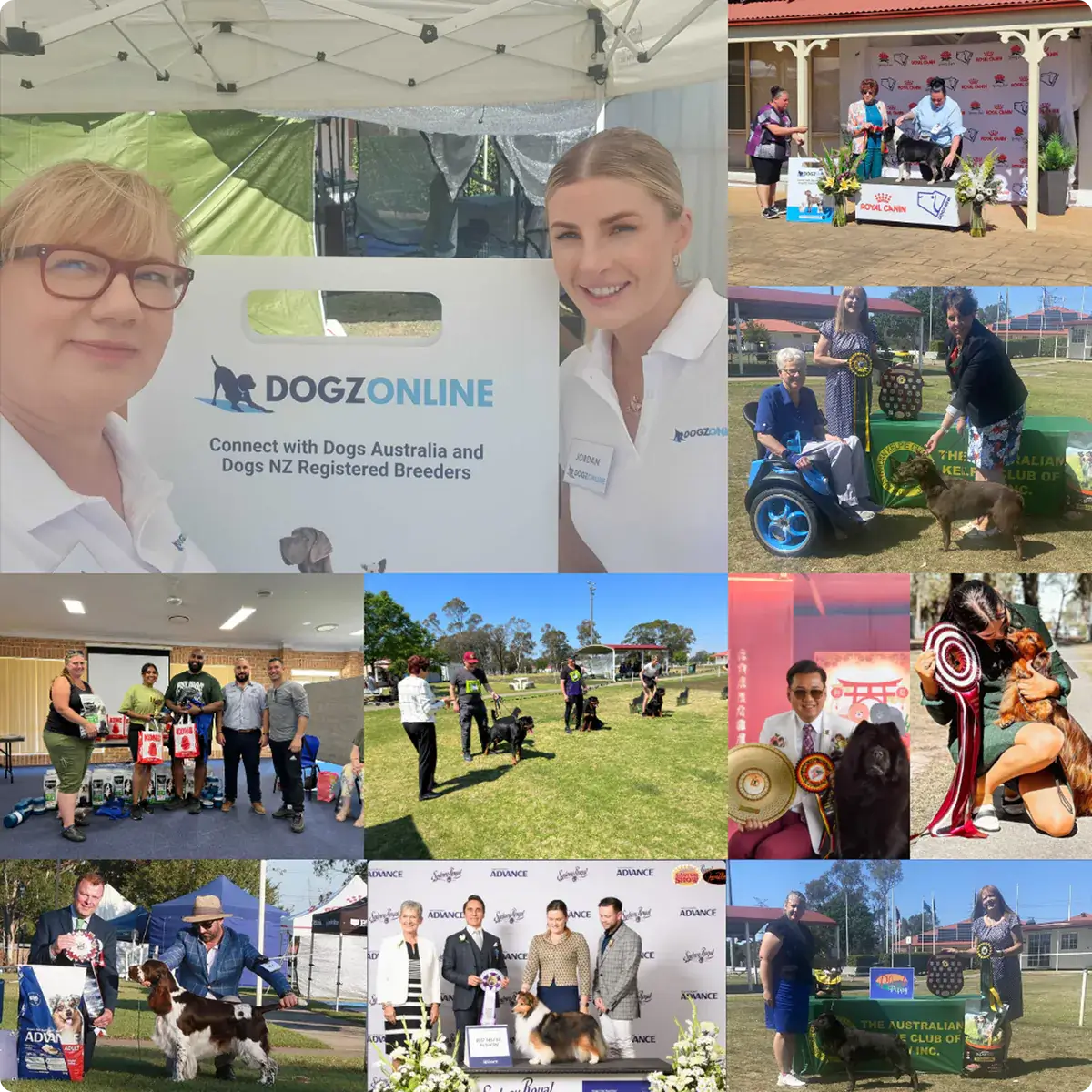 Supporting Reputable and Registered Dog Breeders